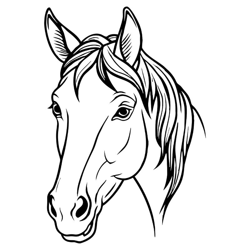 Tête de cheval