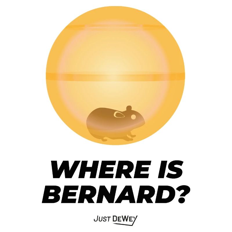 Where is Bernard ? Just Dewey - Hamster malcolm