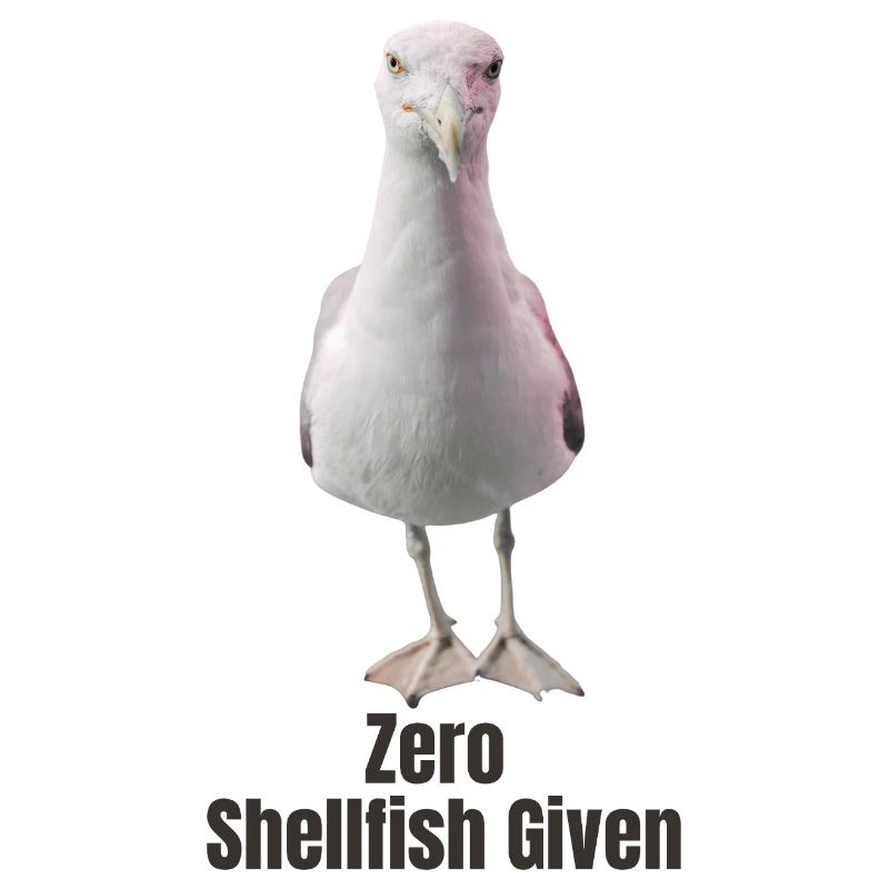 Abstrakte Möwe mit farbigen Akzenten