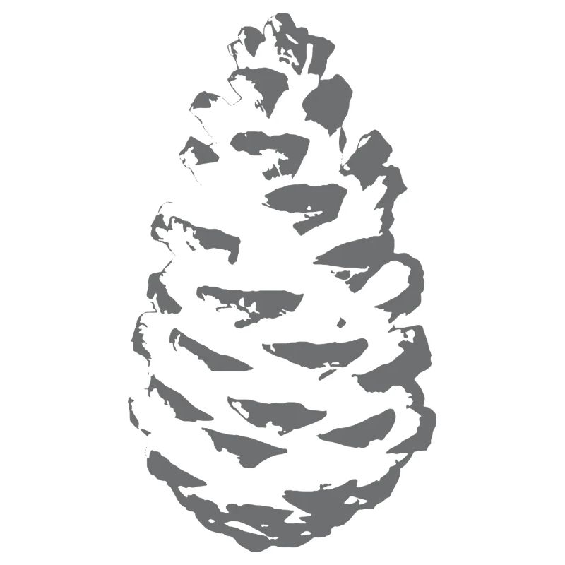 Spruce cone silhouette in shade grey