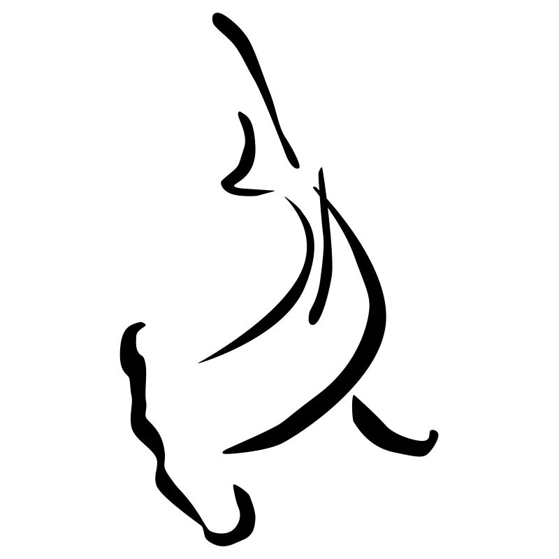 Forme de la tête de marteau