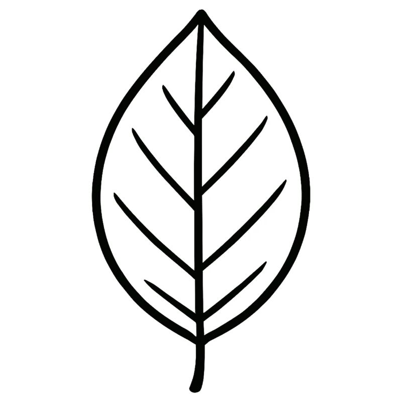 Black leaf line design