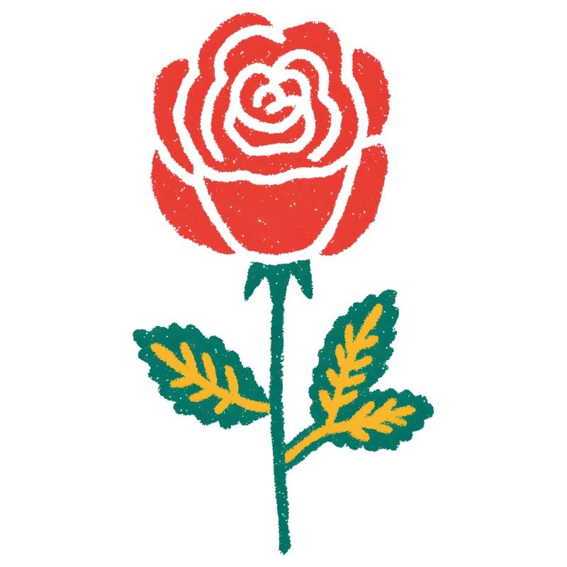 Dessin à la main de la rose rouge