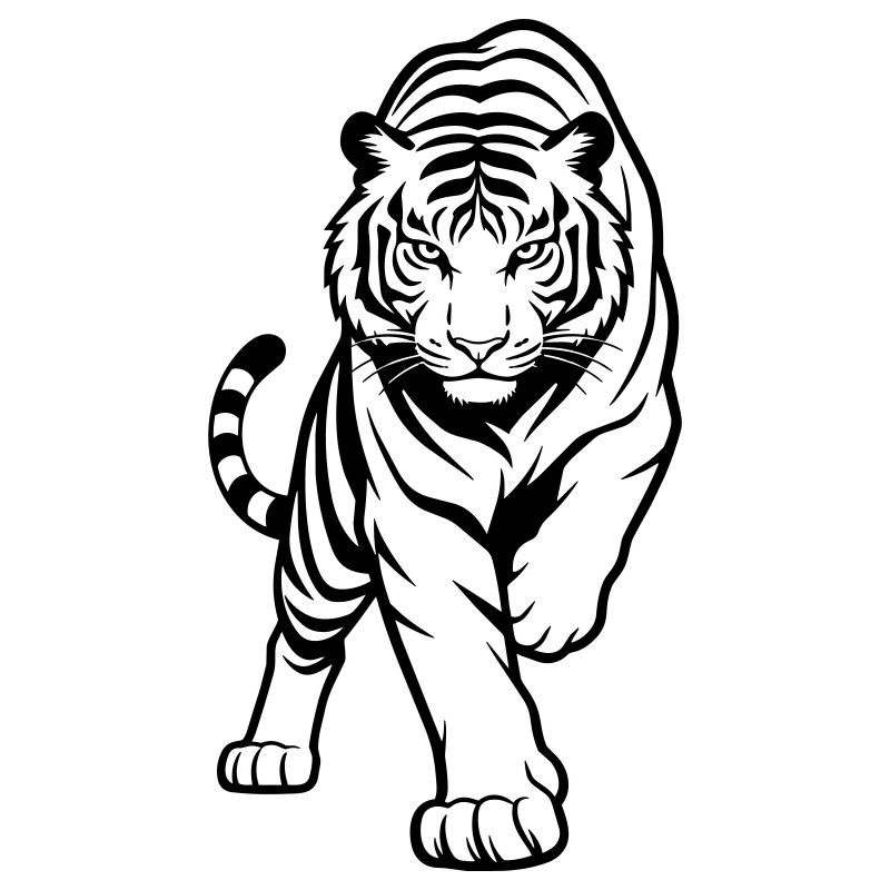 tigre
