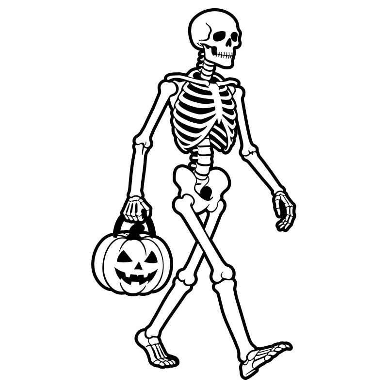 Squelette Halloween