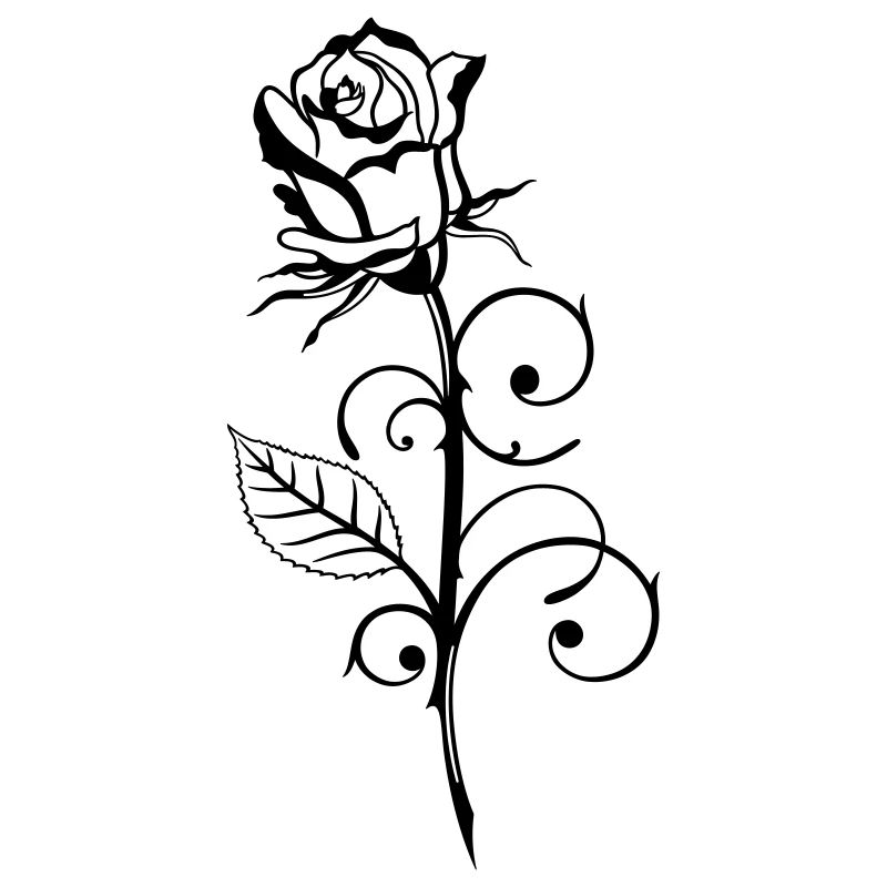Rose amour,