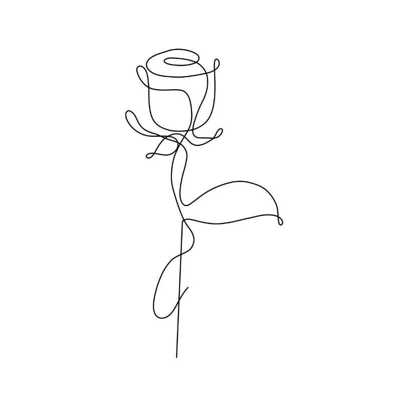 ligne de rose