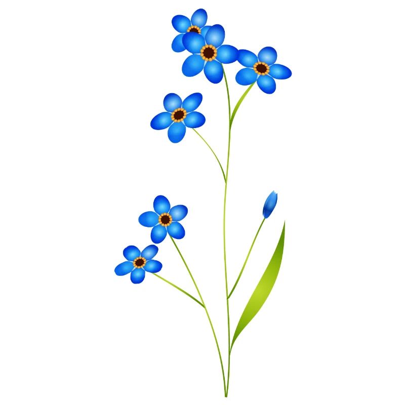 delicate forget-me-not in classic blue