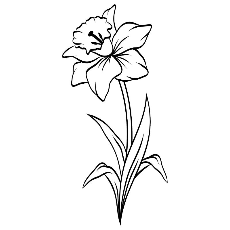 Narcisse
