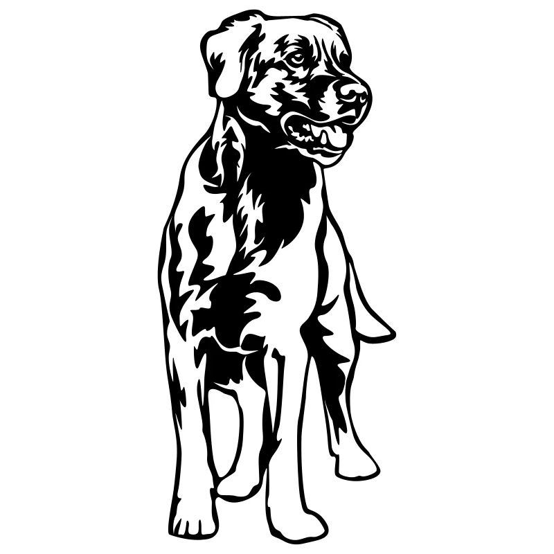 Labrador