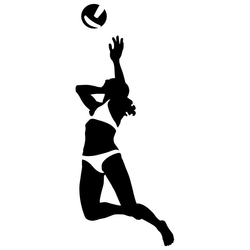 Volley-ball