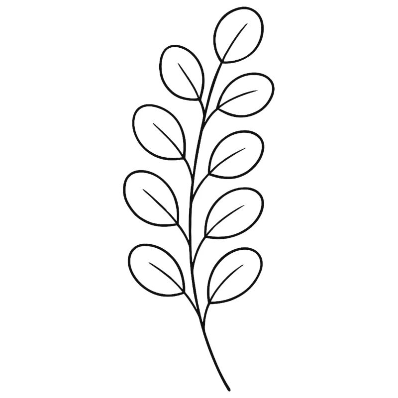 Conception des feuilles de branche de ligne