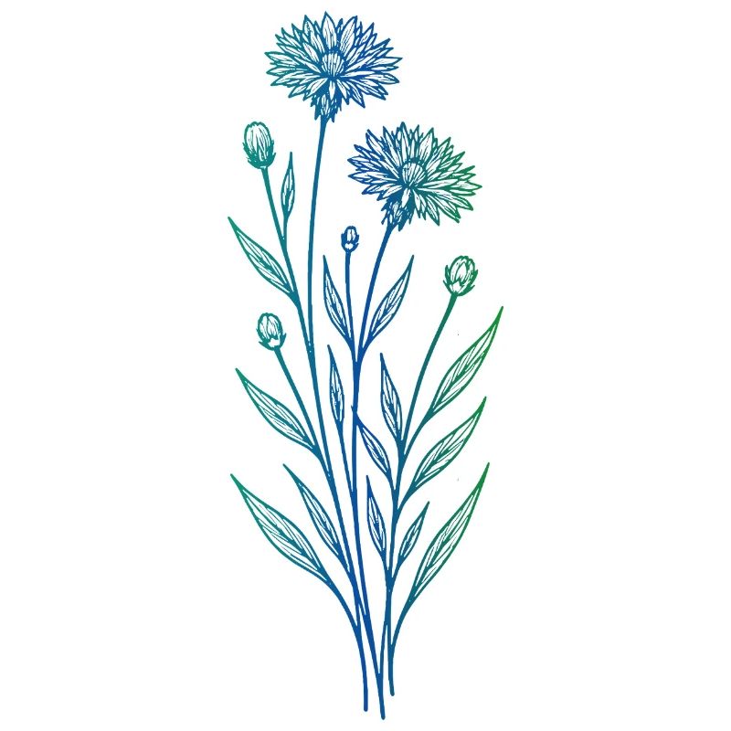 Cornflower Line Art Blue Minimalist Design