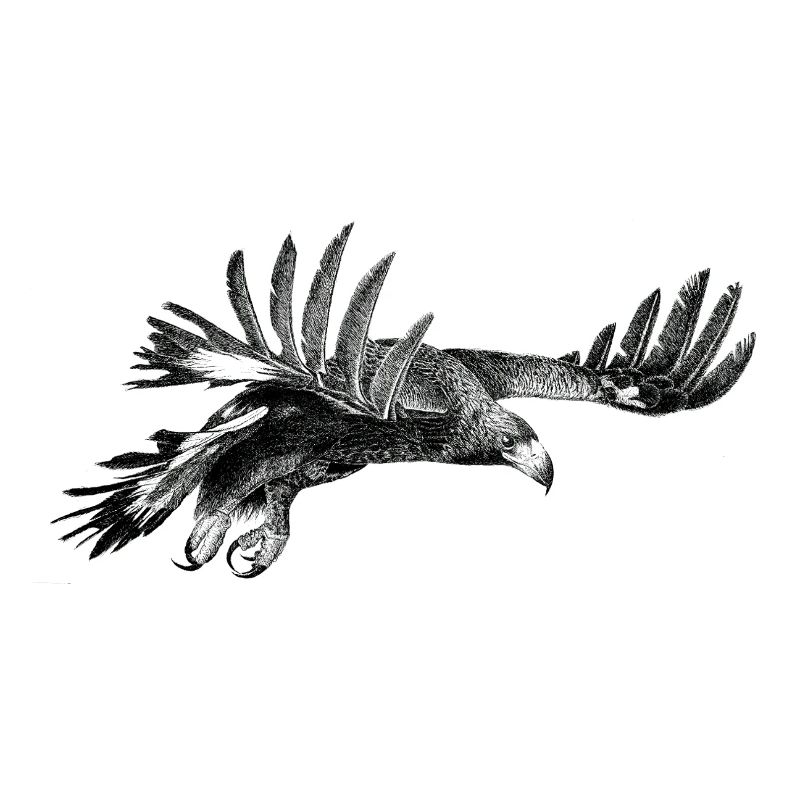 L’Aigle