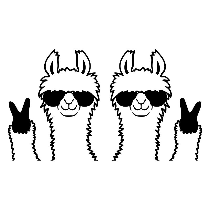 Amis Équipe Lama Paix