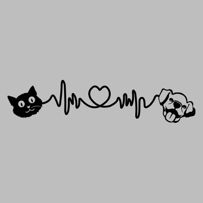 Cardio coup dur chien et chat animaux de compagnie