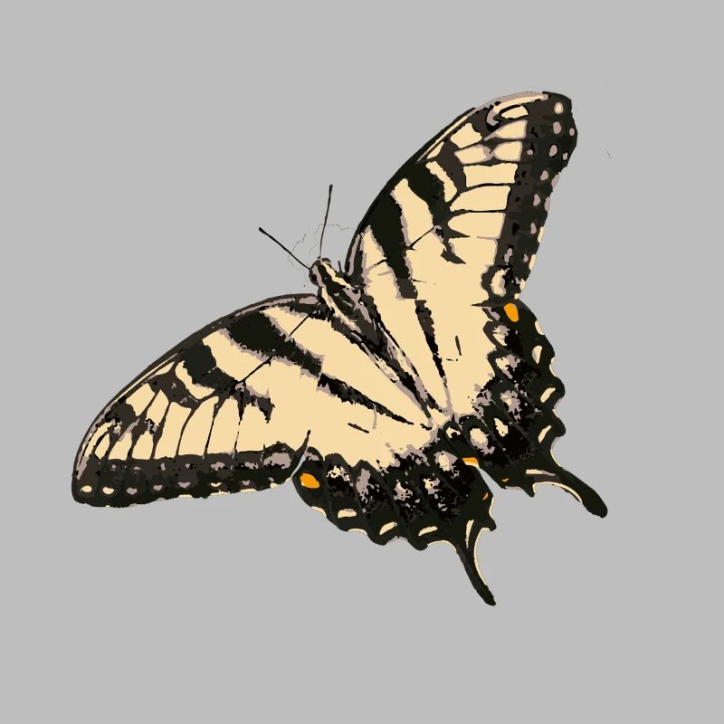 Illustration de papillon citron