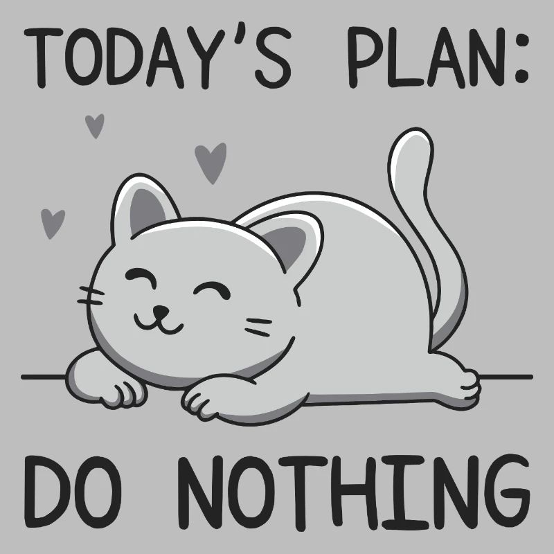Le plan du jour