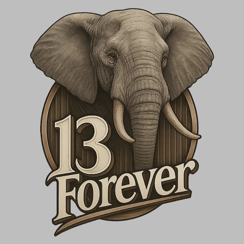 13Éléphant