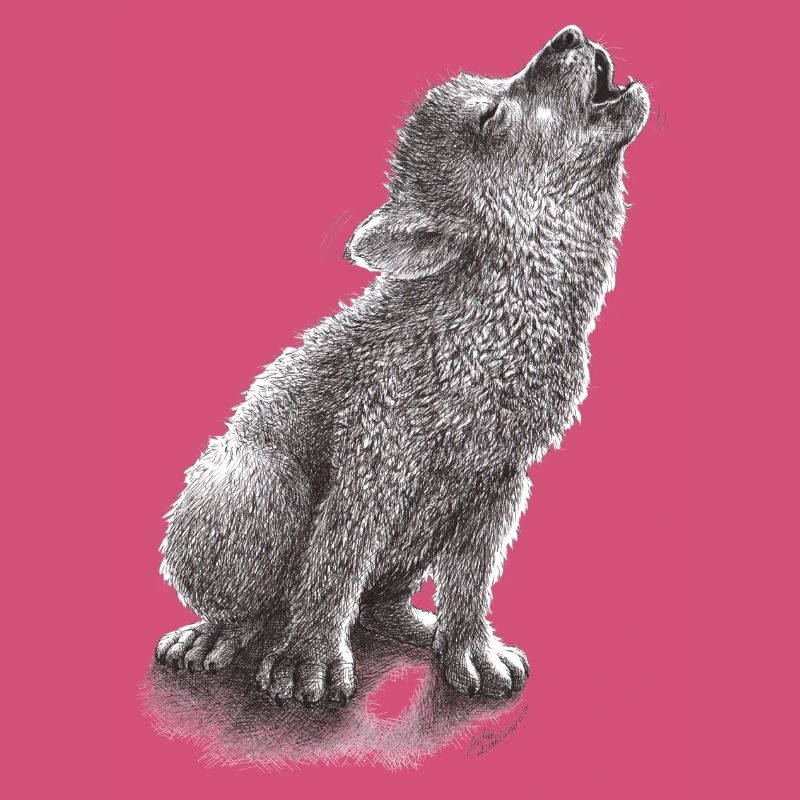 Junger heulender Wolf