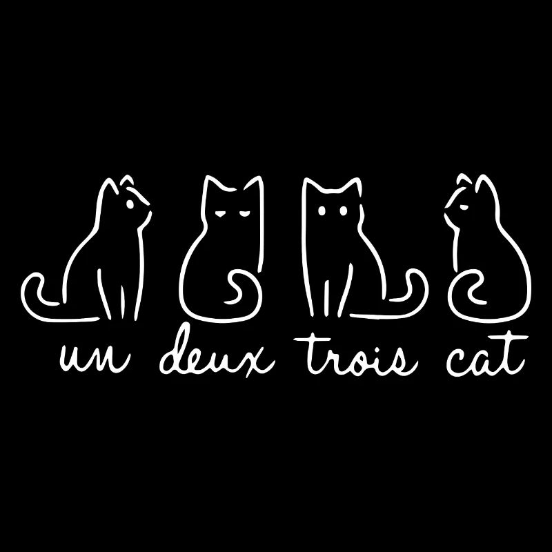 Un Deux Trois cat drôle