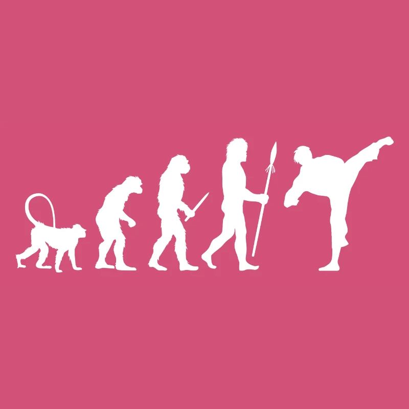 Karate Evolution