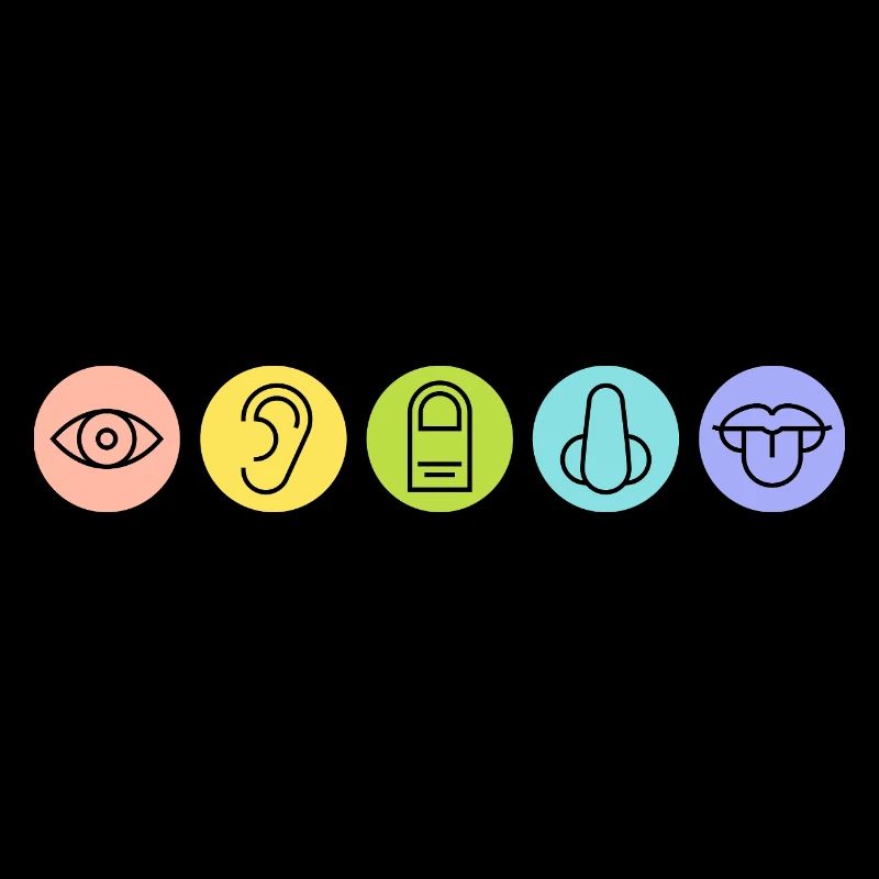 Five Senses, Sensory Organs, Medicine