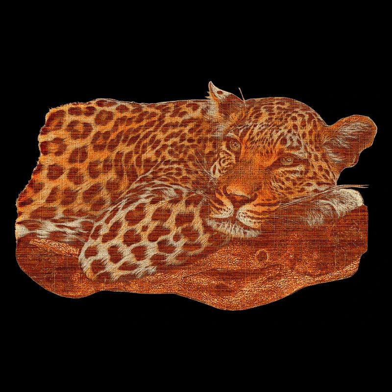 wunderschöne Raubkatze, Panthera pardus auf Ast