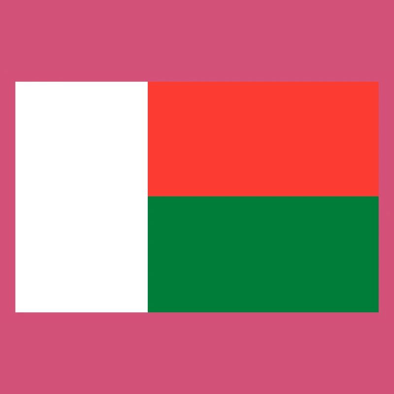 Madagascar flag