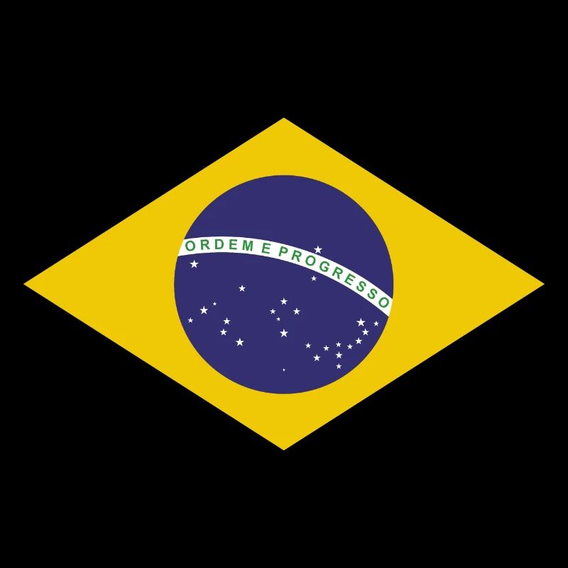 Brasilia Flag