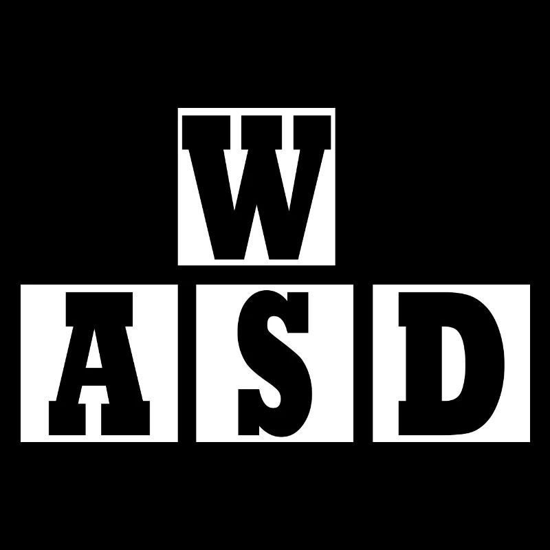 W A S D