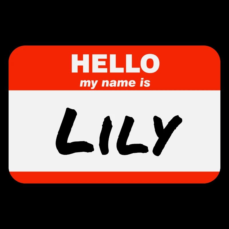 Hello My Name Is Lily Label Name Tag