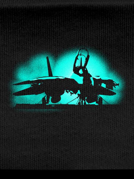 Jet F-14 Tomcat