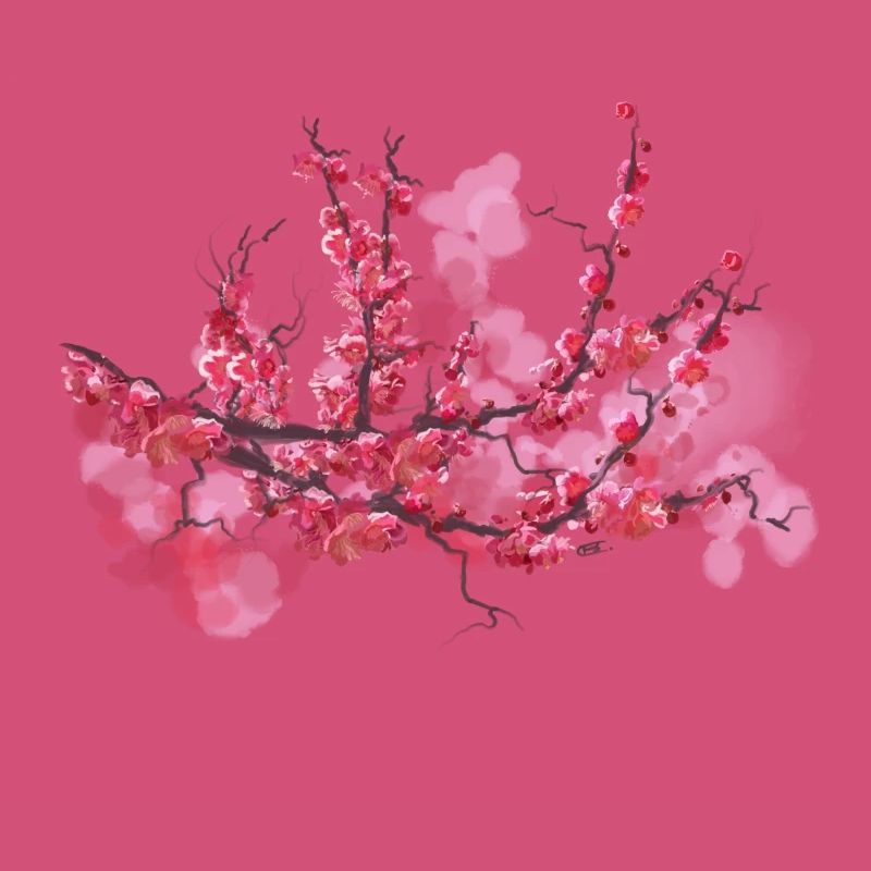 sakura