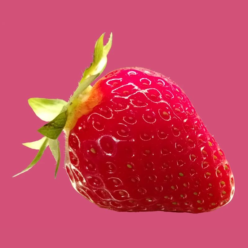 FRAISE