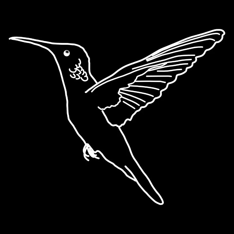 Lineart colibri