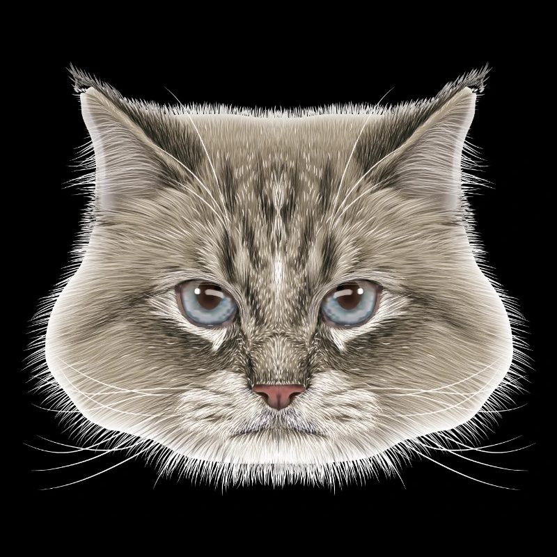 Siberian Cat