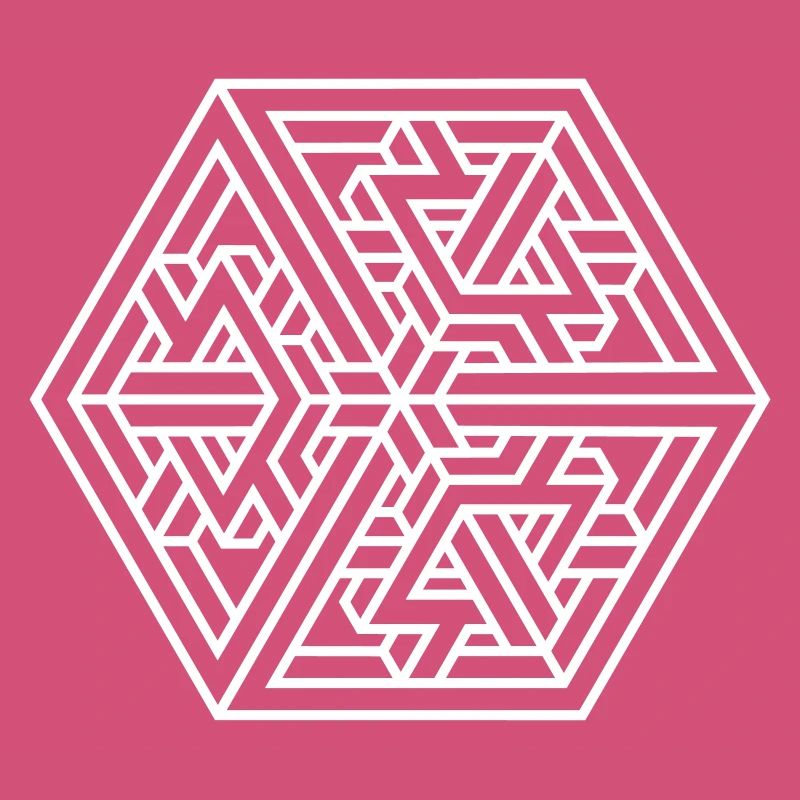 Labyrinthe Impossible – Illusion d’Optique & Escher