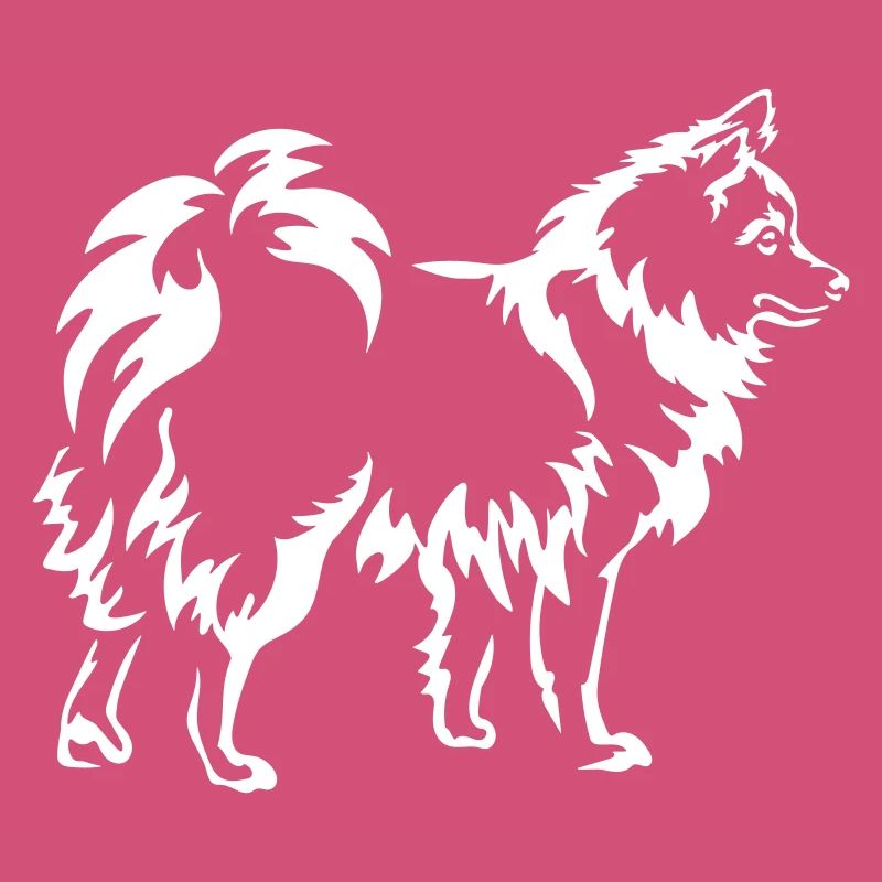 Spitz "Black Edition"