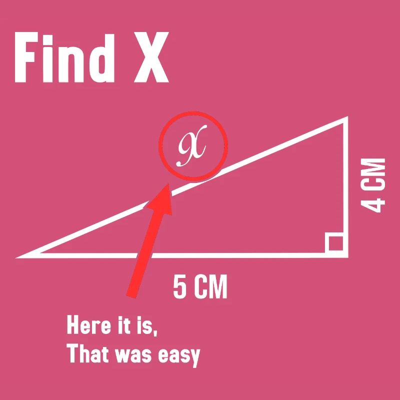 Trouver X Math Lover Mathématicien Professeur de mathématiques