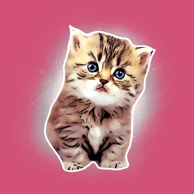 Bébé chat