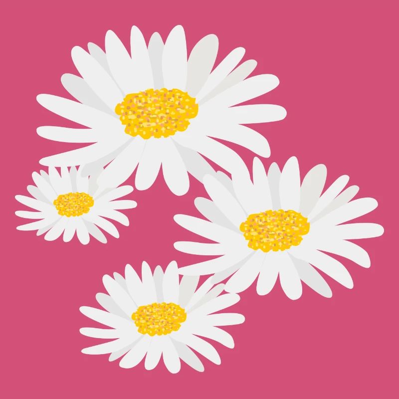 Blume Gänseblümchen