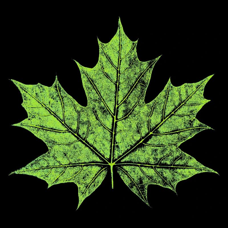 Maple Leaf - GREEN - Natural / Forest Design