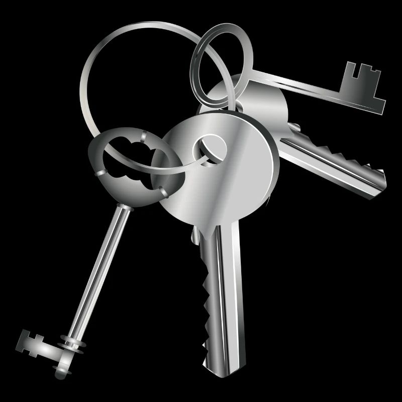 clés argentées sur un porte-clés