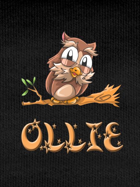 Owl Ollie