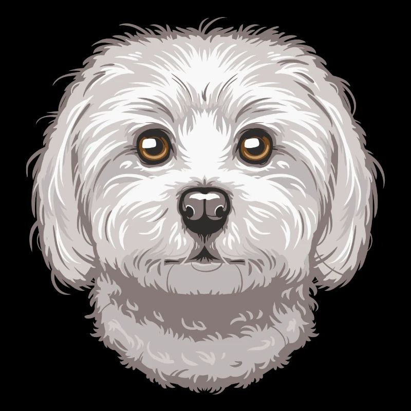 Maltese
