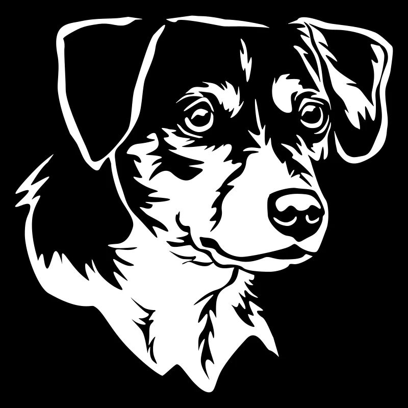 Dansk Svensk Gaardhond Kopf "Black Edition"