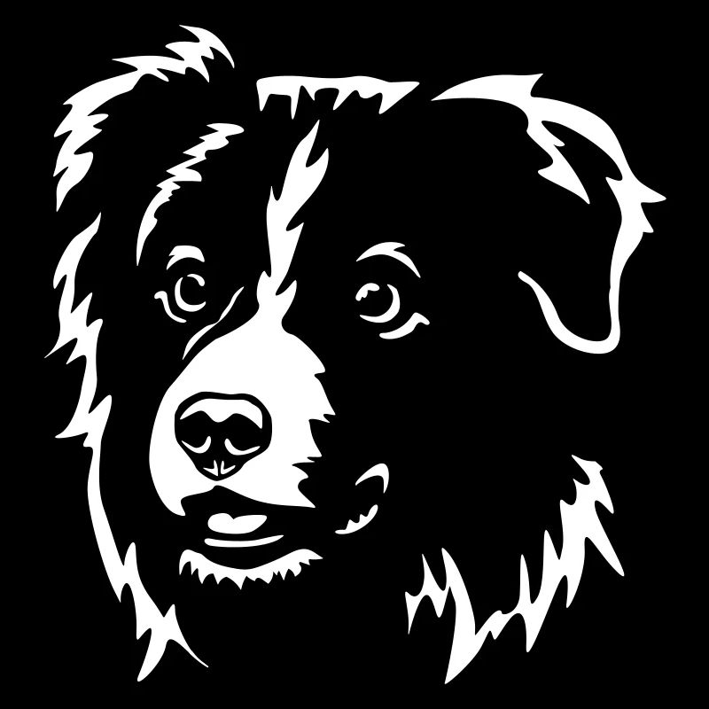 Border Collie Kopf "Black Edition"