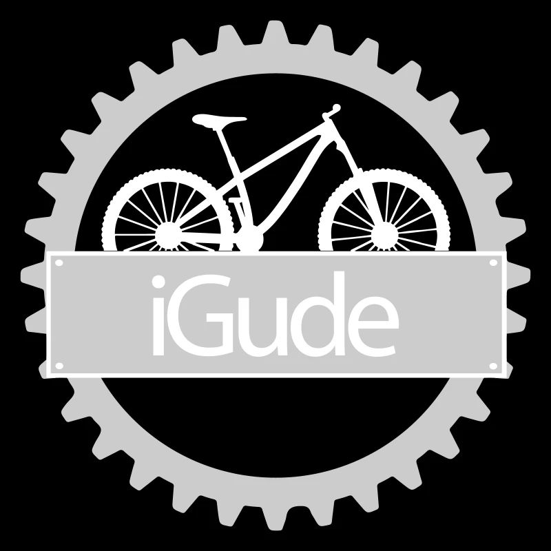 iGude Zahnrad MTB hell