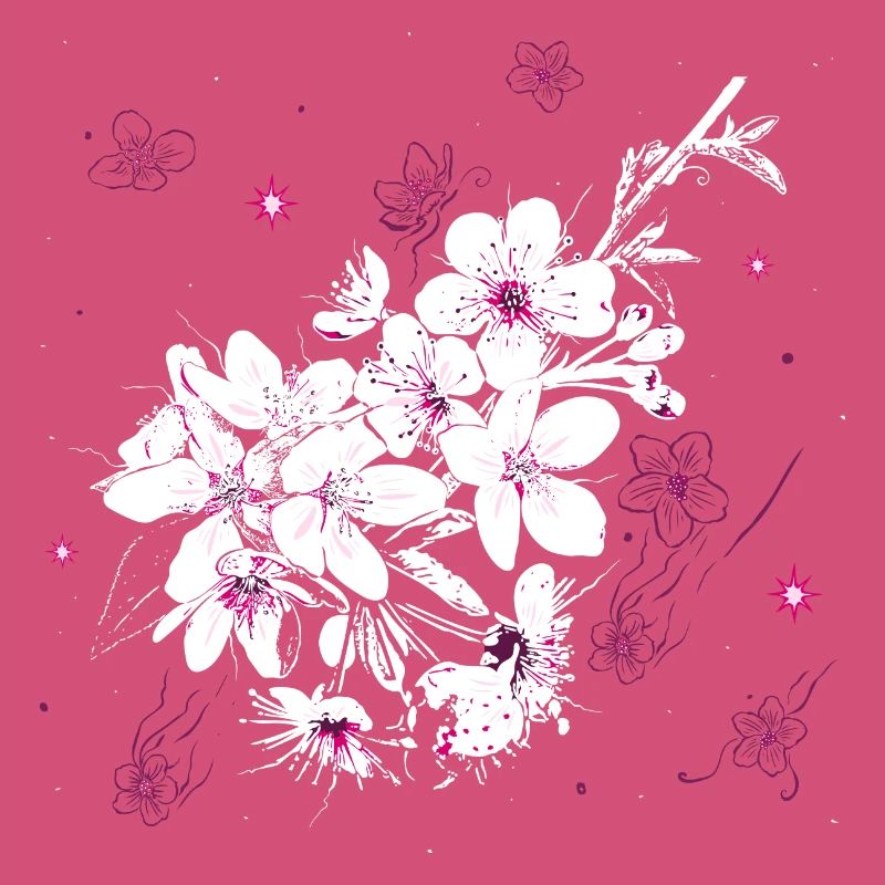 Kirschblüten Sakura Frühling